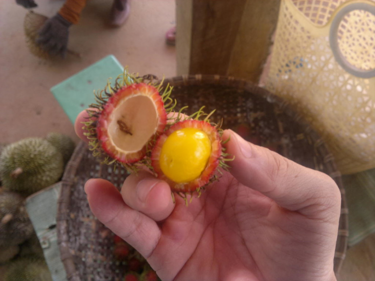 Mùa mưa rồi, có nên đi Đà Lạt không? Mùa mưa rồi, có nên đi Đà Lạt không?
