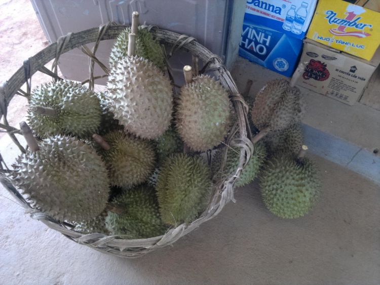 Mùa mưa rồi, có nên đi Đà Lạt không? Mùa mưa rồi, có nên đi Đà Lạt không?