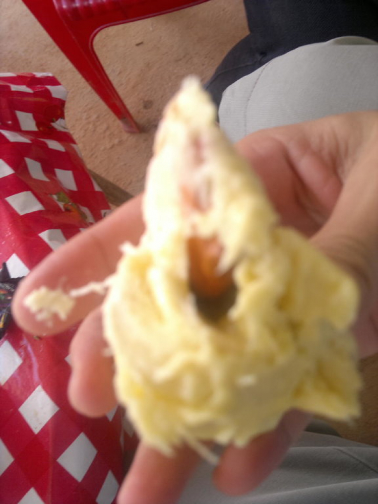 Mùa mưa rồi, có nên đi Đà Lạt không? Mùa mưa rồi, có nên đi Đà Lạt không?
