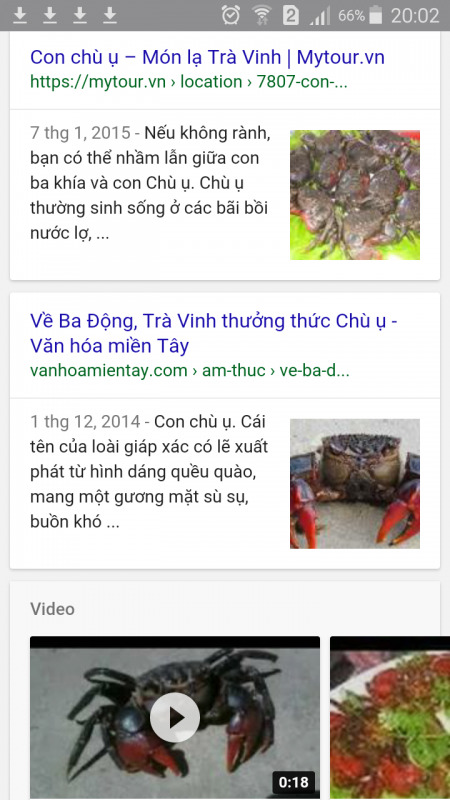 Jolie - Chiếc xe thân thiện