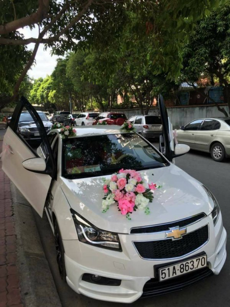 Em cần thuê 10 chiếc cruze từ 8h sáng đến 1h trưa,có tài,đường đi dưới 15km