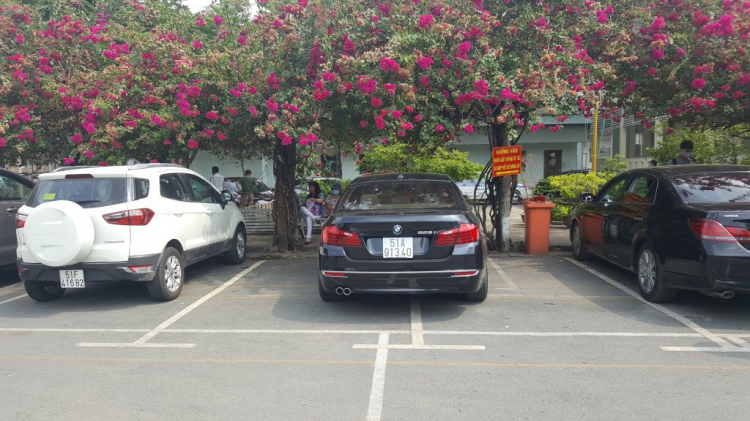 Nghệ thuật đậu xe
