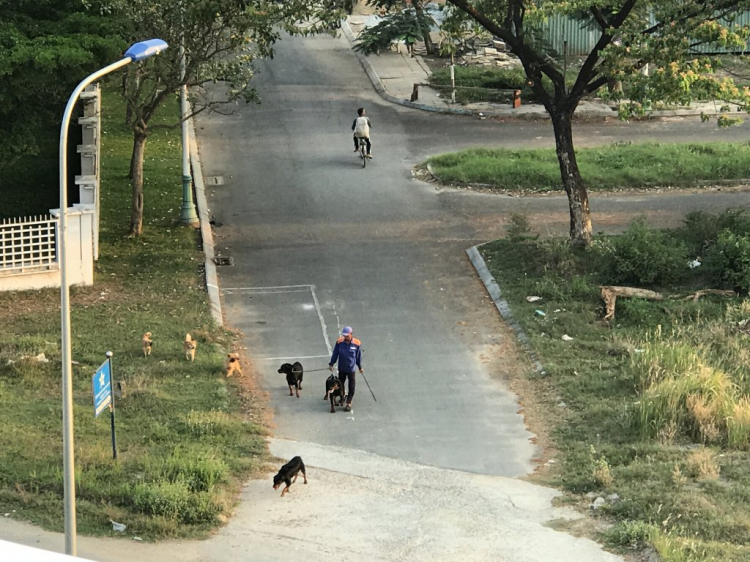 Cập nhật tình hình dự án và hạ tầng khu TML