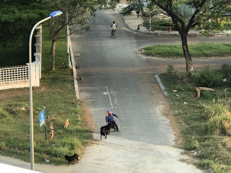 Cập nhật tình hình dự án và hạ tầng khu TML