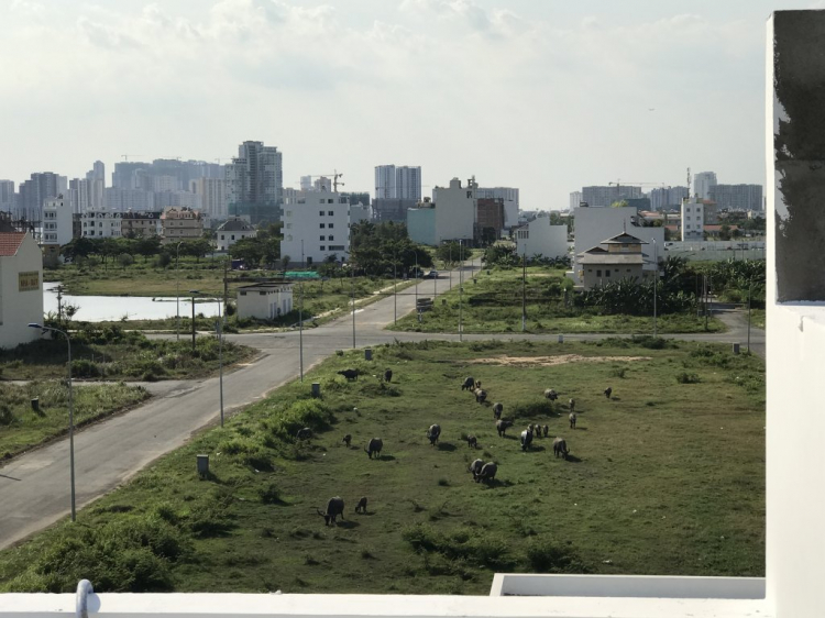 Waterina Suites xong nhà mẫu - TML ngày càng đông zui! Waterina Suites xong nhà mẫu - TML ngày càng đông zui!