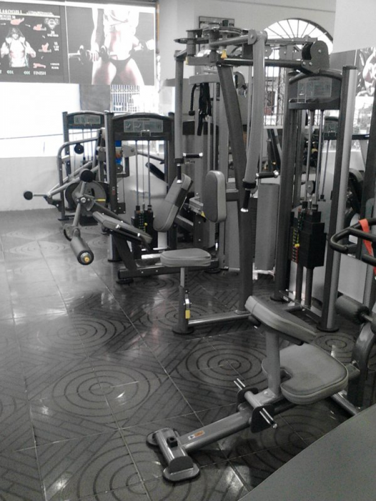 Thể dục, dinh dưỡng - chạy & gym : hỏi gì - đáp nấy