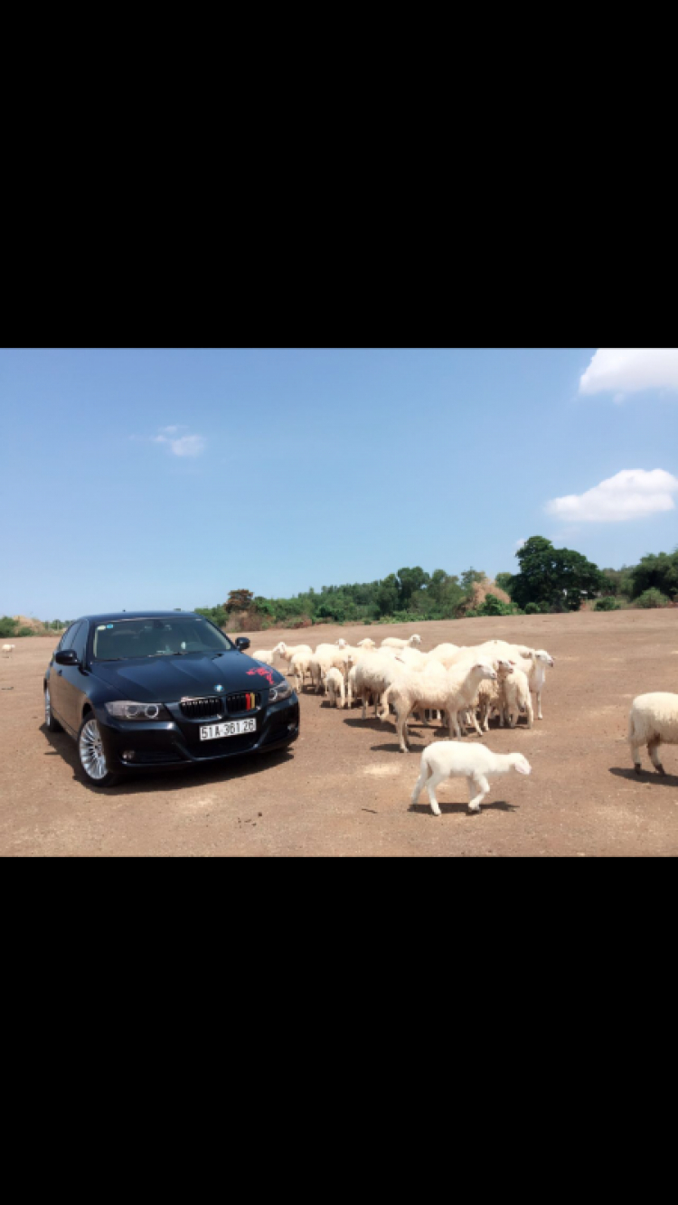 Lính mới đã gom đủ lúa Lính mới đã gom đủ lúa
