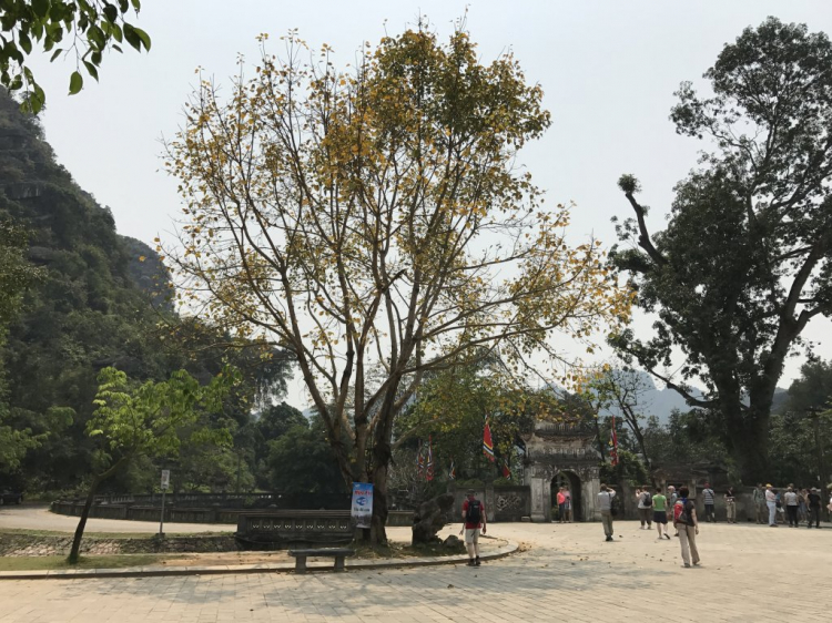 Phượt Tà Xùa tìm S.O.Ser Dũng Ngỗng (Trần Việt Dũng -Ngong Hankang) Phượt Tà Xùa tìm S.O.Ser Dũng Ngỗng (Trần Việt Dũng -Ngong Hankang)