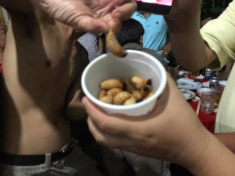 Tour 30/4 - Sông nước Miền Tây Tour 30/4 - Sông nước Miền Tây