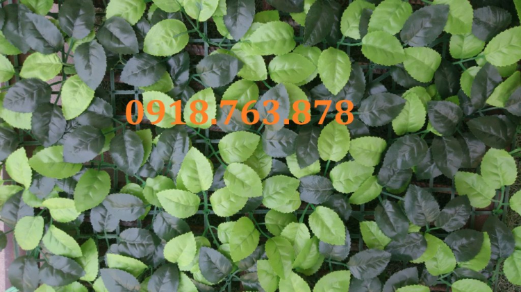tấm cỏ lá treo tường, cỏ cải xoong, vỉ tai chuột ốp tường