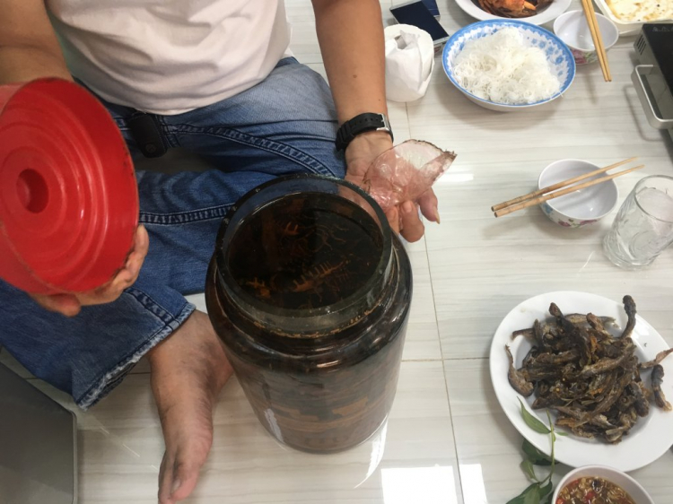 Jolie - Trên những nẻo đường Jolie - Trên những nẻo đường