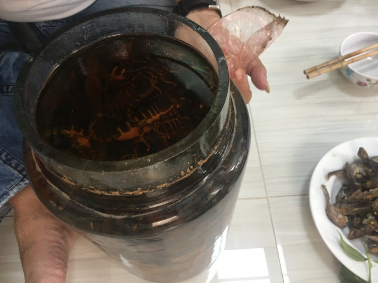 Jolie - Trên những nẻo đường Jolie - Trên những nẻo đường