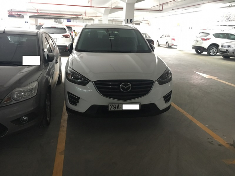 Đậu xe vào chuồng
