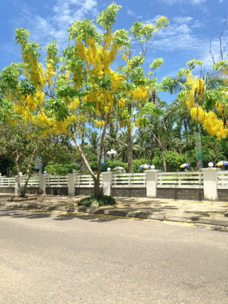 Nhờ tư vấn cách đi Sài Gòn - Phú Yên Nhờ tư vấn cách đi Sài Gòn - Phú Yên