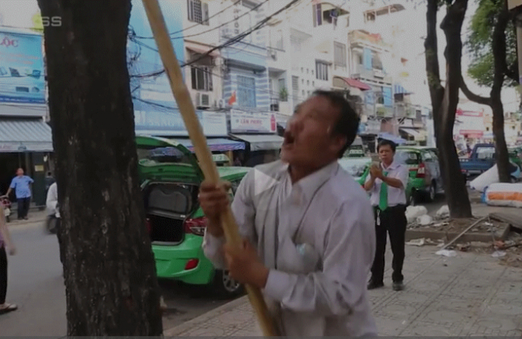 Ở trên cây làm gì ?