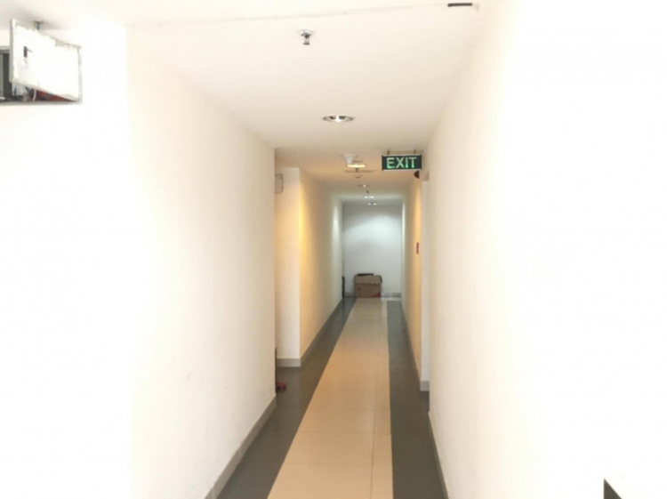 Tư vấn CCCC ở Vũng Tàu Tư vấn CCCC ở Vũng Tàu