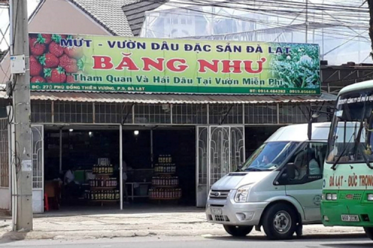 Chơi gì khi Đà Lạt mưa cả ngày? Nhờ ACE tư vấn Chơi gì khi Đà Lạt mưa cả ngày? Nhờ ACE tư vấn