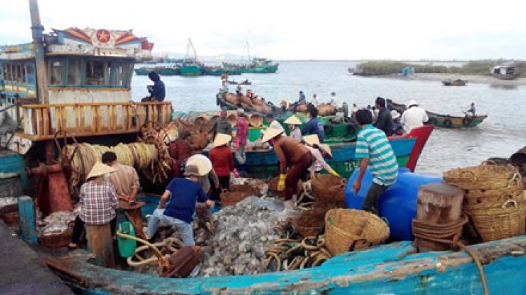 Hành trình những chuyến câu biển