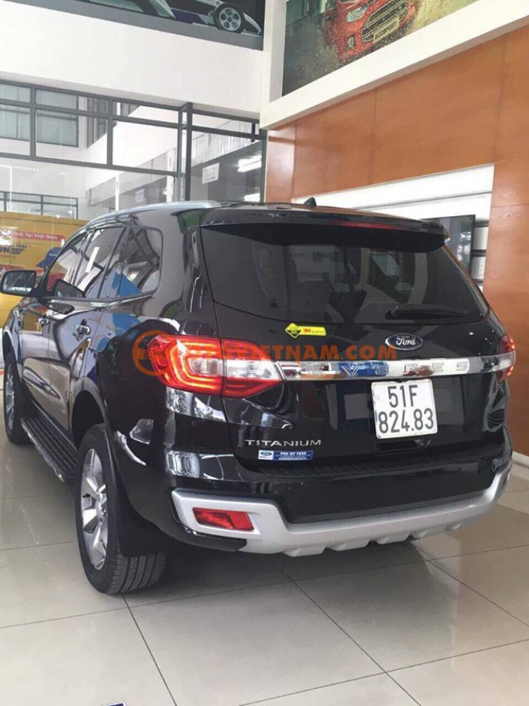 Ford Everest giao ngay chỉ với 420 triệu