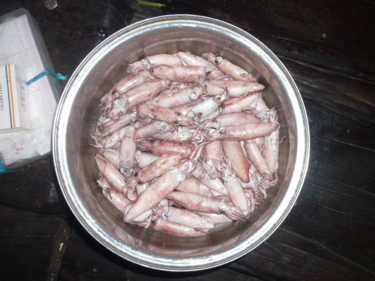 Côn Đảo thiên đường trong mắt tôi Côn Đảo thiên đường trong mắt tôi