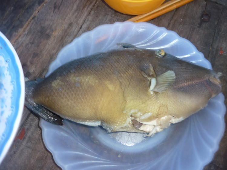 Côn Đảo thiên đường trong mắt tôi Côn Đảo thiên đường trong mắt tôi