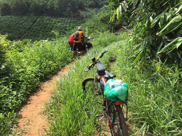 [OFFROAD 2 BÁNH] Cung đường Tám Bố QL28 - Di Linh