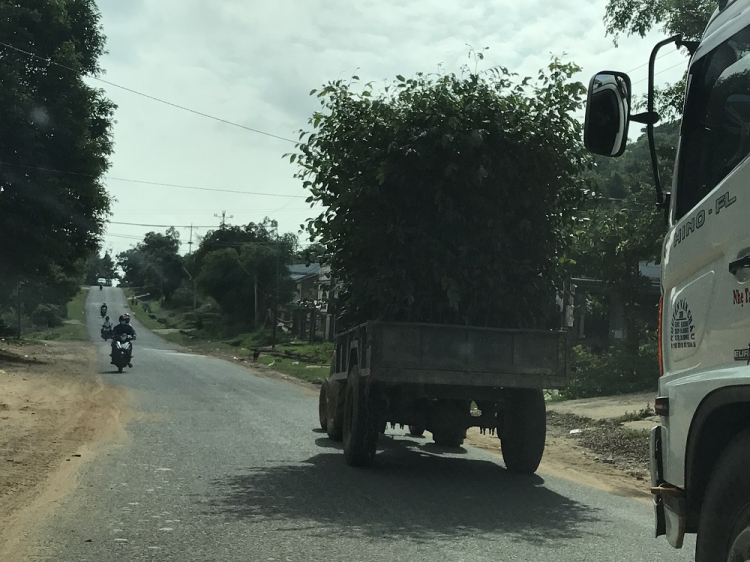 Cập nhật cung đường SG-Nha Trang-Đà Nẵng-Huế-Kontum-Ban Mê-Đà Lạt