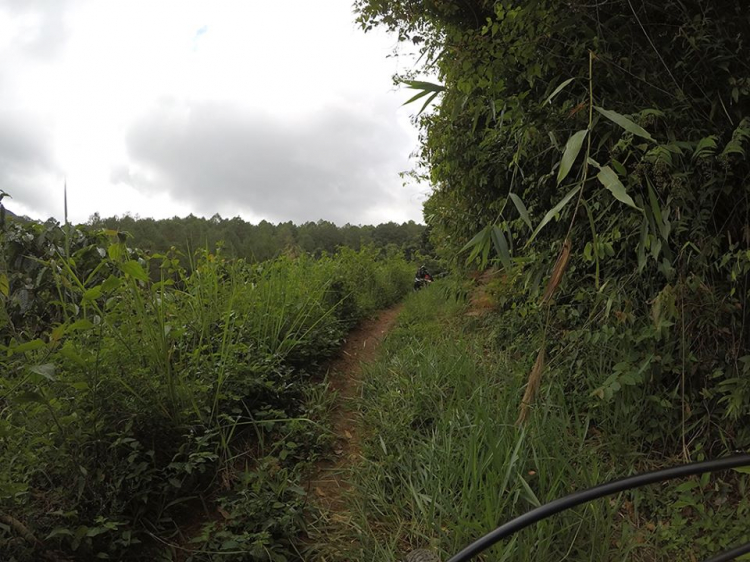 [OFFROAD 2 BÁNH] Cung đường Tám Bố QL28 - Di Linh