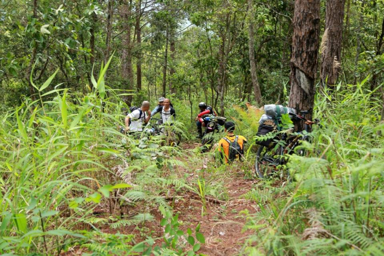 [OFFROAD 2 BÁNH] Cung đường Tám Bố QL28 - Di Linh