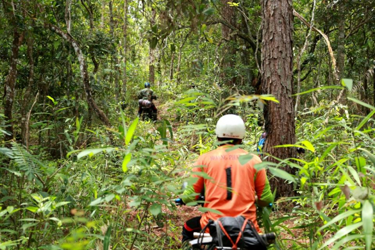 [OFFROAD 2 BÁNH] Cung đường Tám Bố QL28 - Di Linh