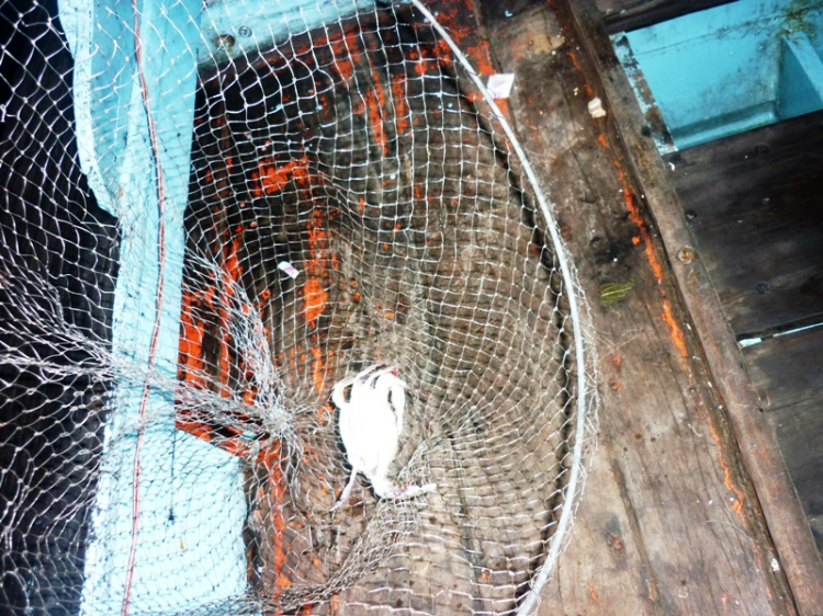 Côn Đảo thiên đường trong mắt tôi Côn Đảo thiên đường trong mắt tôi