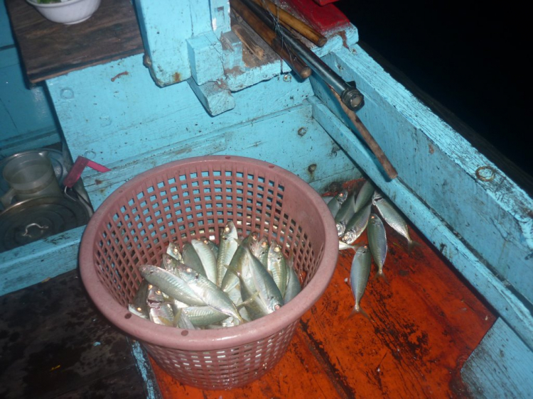 Côn Đảo thiên đường trong mắt tôi Côn Đảo thiên đường trong mắt tôi