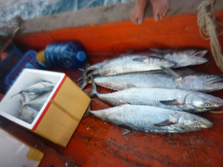 Côn Đảo thiên đường trong mắt tôi Côn Đảo thiên đường trong mắt tôi