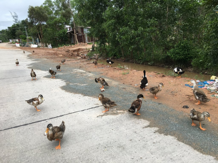 Sài gòn - Châu đốc- Hà Tiên- Phú Quốc - Rạch giá - Sài gòn: 6 ngày 5 đêm.