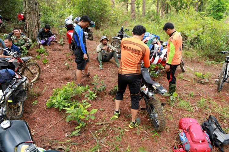 [OFFROAD 2 BÁNH] Cung đường Tám Bố QL28 - Di Linh