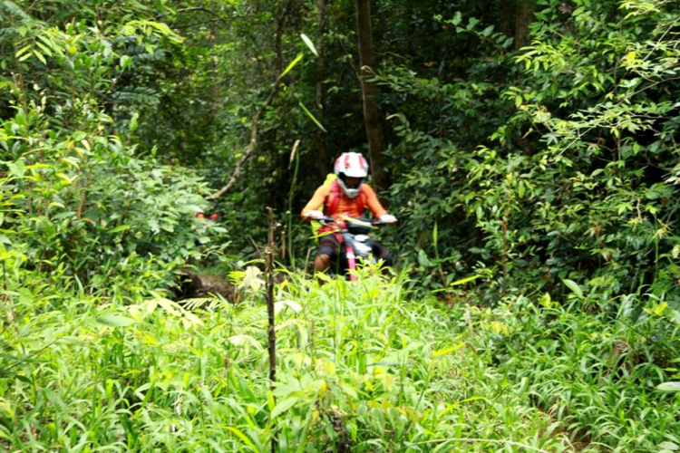 [OFFROAD 2 BÁNH] Cung đường Tám Bố QL28 - Di Linh