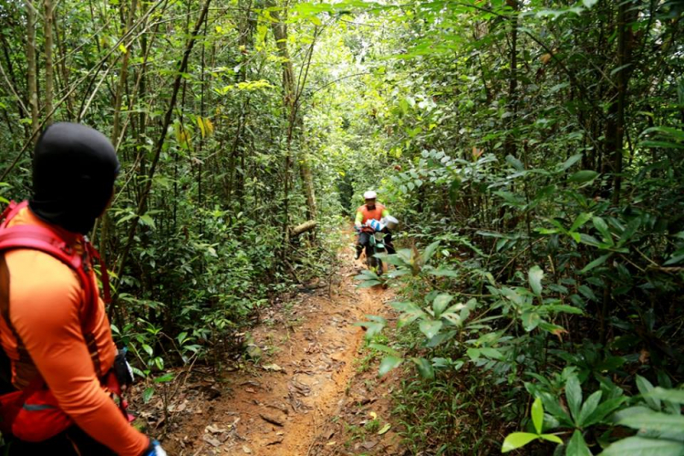 [OFFROAD 2 BÁNH] Cung đường Tám Bố QL28 - Di Linh