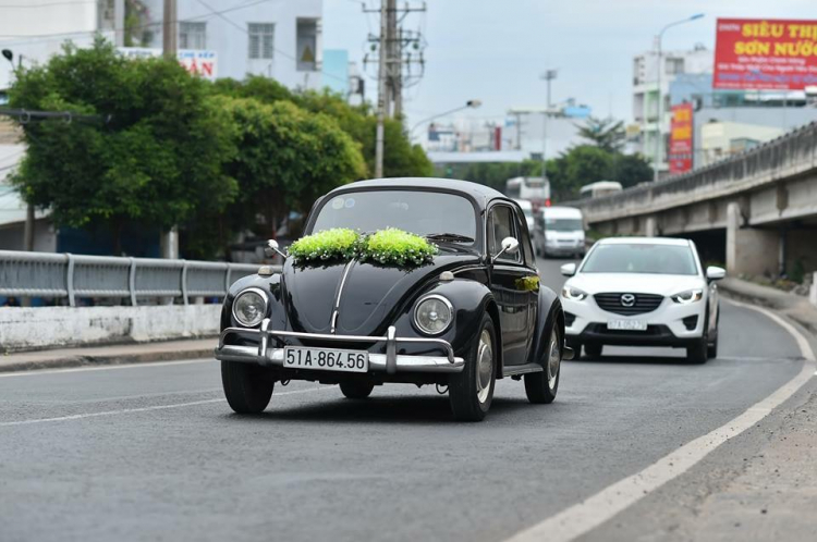 thông tin về : Beetle -Volkswagen