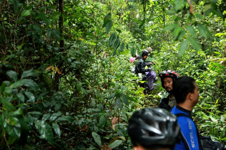 [OFFROAD 2 BÁNH] Cung đường Tám Bố QL28 - Di Linh