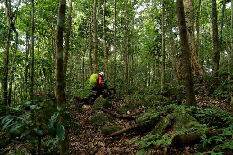 [OFFROAD 2 BÁNH] Cung đường Tám Bố QL28 - Di Linh