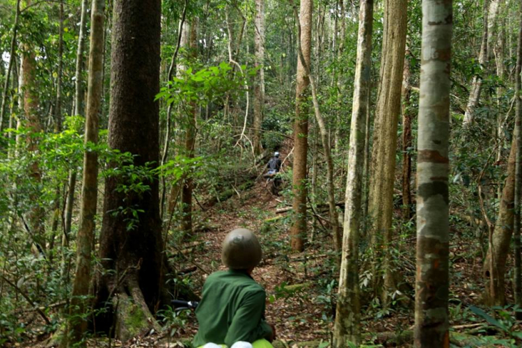 [OFFROAD 2 BÁNH] Cung đường Tám Bố QL28 - Di Linh