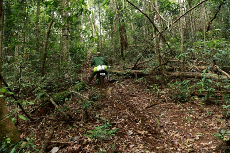 [OFFROAD 2 BÁNH] Cung đường Tám Bố QL28 - Di Linh