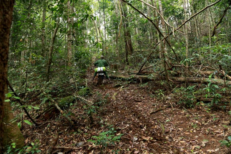 [OFFROAD 2 BÁNH] Cung đường Tám Bố QL28 - Di Linh