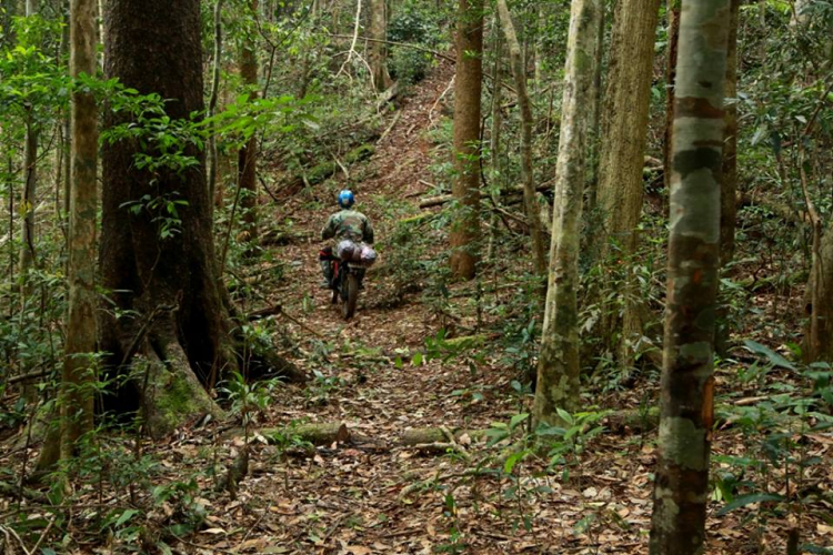 [OFFROAD 2 BÁNH] Cung đường Tám Bố QL28 - Di Linh