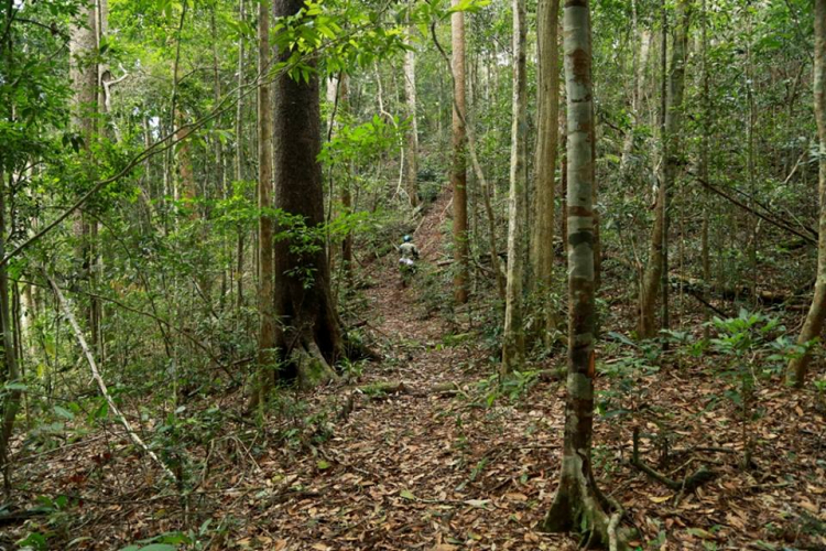 [OFFROAD 2 BÁNH] Cung đường Tám Bố QL28 - Di Linh