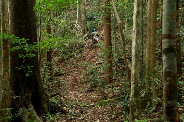 [OFFROAD 2 BÁNH] Cung đường Tám Bố QL28 - Di Linh