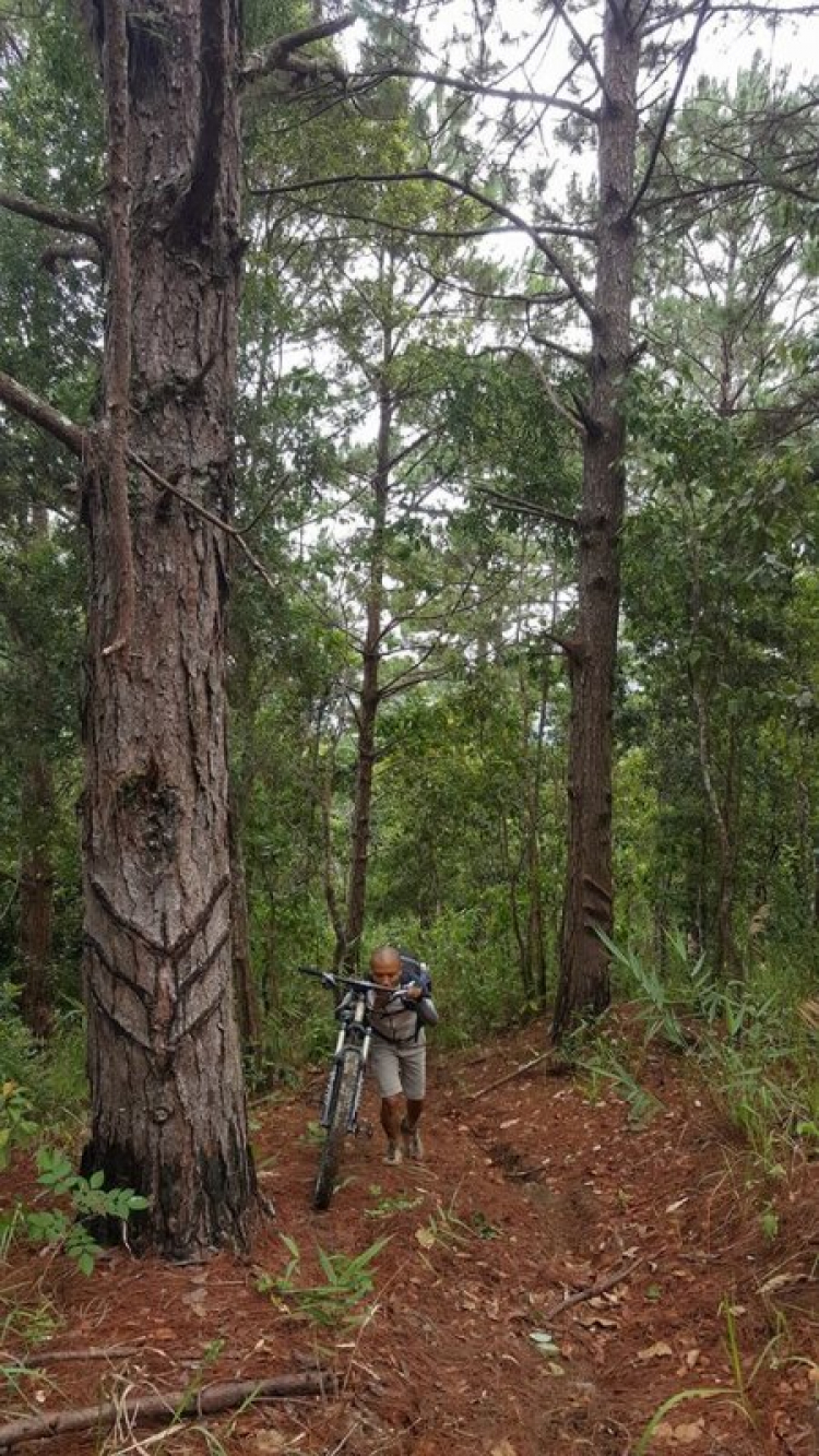 [OFFROAD 2 BÁNH] Cung đường Tám Bố QL28 - Di Linh