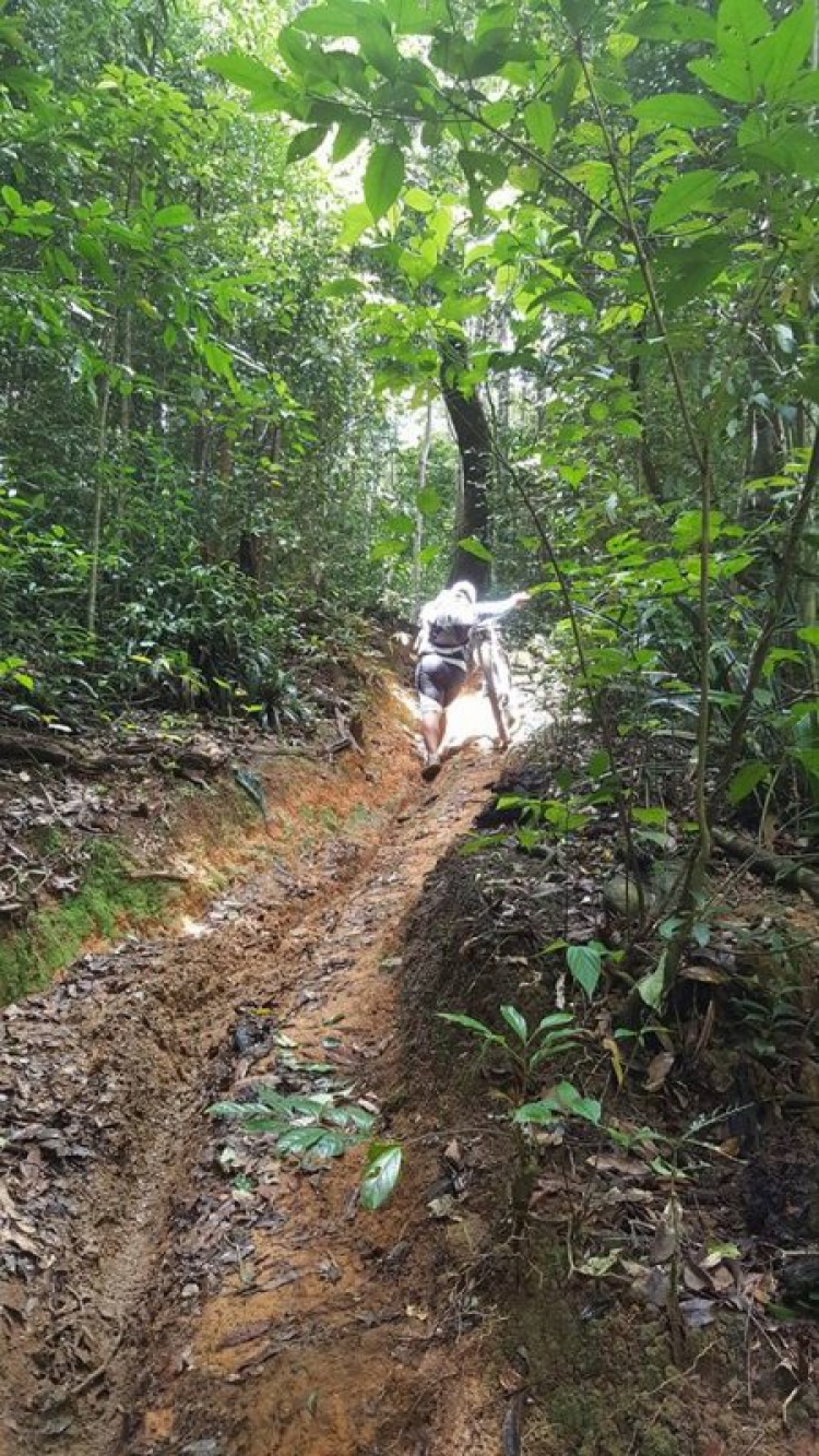 [OFFROAD 2 BÁNH] Cung đường Tám Bố QL28 - Di Linh