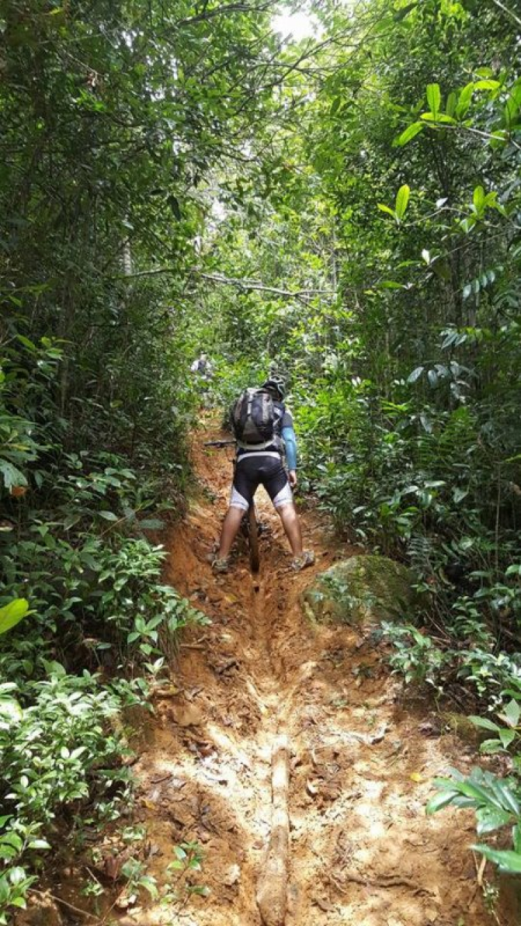 [OFFROAD 2 BÁNH] Cung đường Tám Bố QL28 - Di Linh