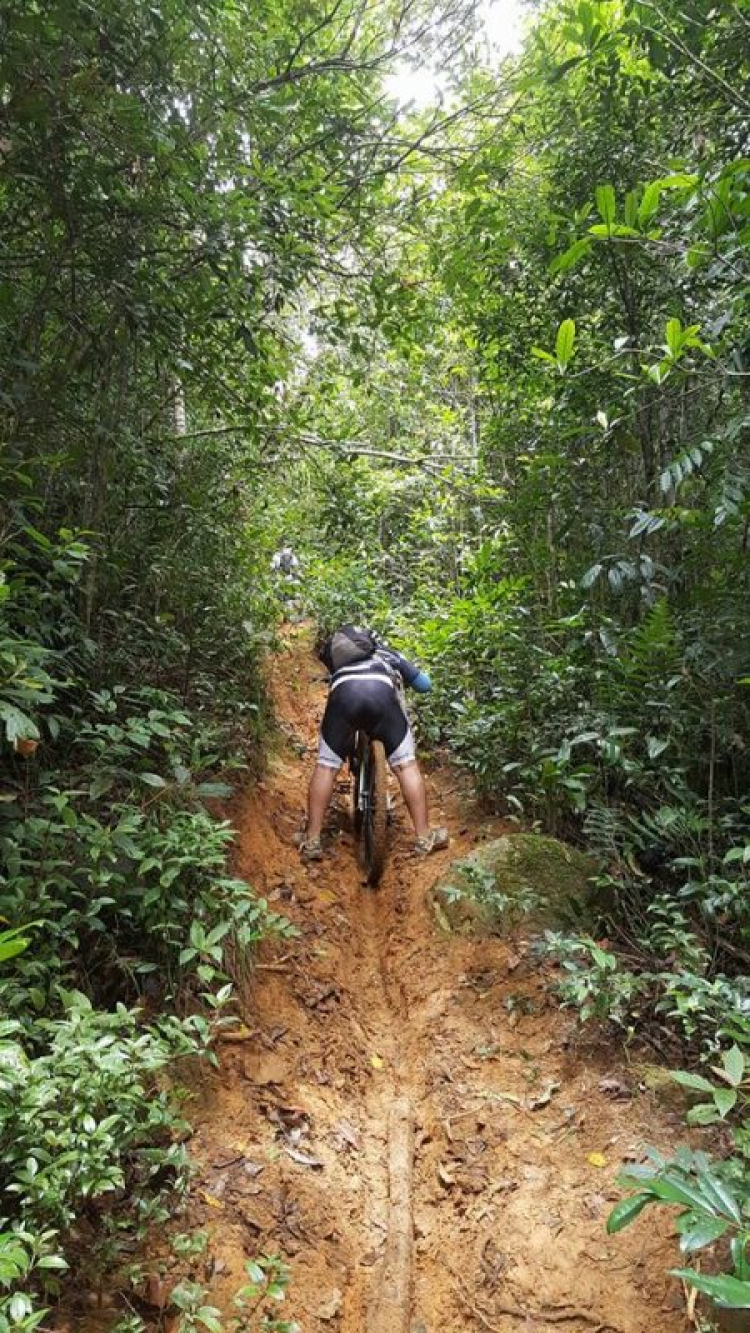 [OFFROAD 2 BÁNH] Cung đường Tám Bố QL28 - Di Linh